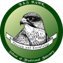B&S Hawk - School of Traditional Falconry